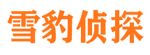 大新私人调查